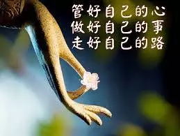 凡是你排斥的,就是你所要學習的!