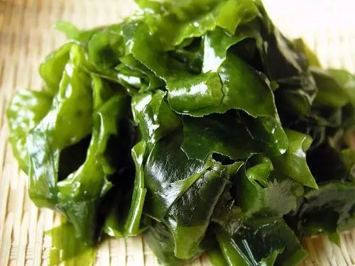 海帶和裙帶菜,是同一種食物嗎?碘含量相差10倍、鐵含量相差6倍