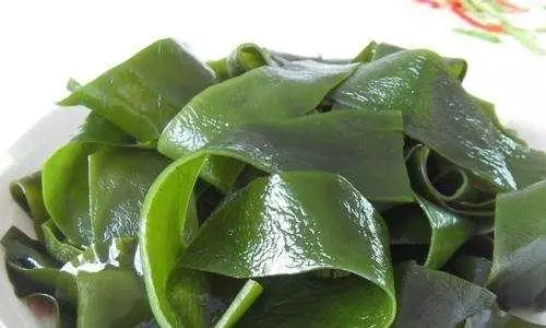 海帶和裙帶菜,是同一種食物嗎?碘含量相差10倍、鐵含量相差6倍
