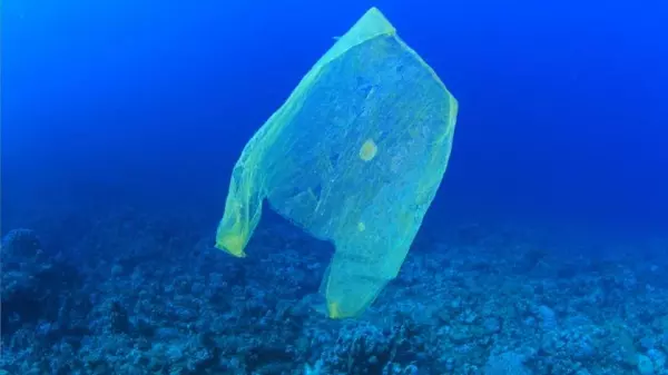 原本是要救地球!塑膠袋發明初衷「重複利用」做環保 , 發明者之子嘆:不懂大家為何用完就丟!