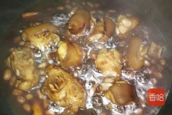 7月成熟的水果,有「生命之果」之稱,維C含量是葡萄的20倍!