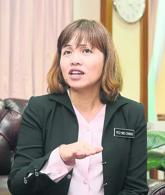 丘光耀漫畫 張念群促納吉 勿藉《互》漫畫渾水摸魚 | 中國報 China Press
