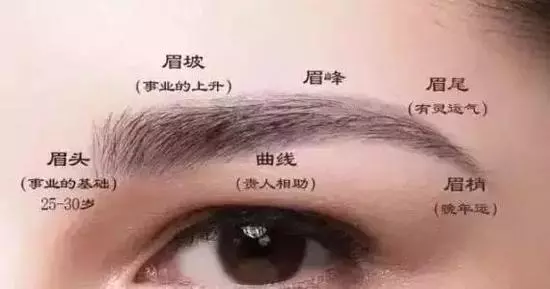 偏財旺不旺,只要看8個地方就知道!