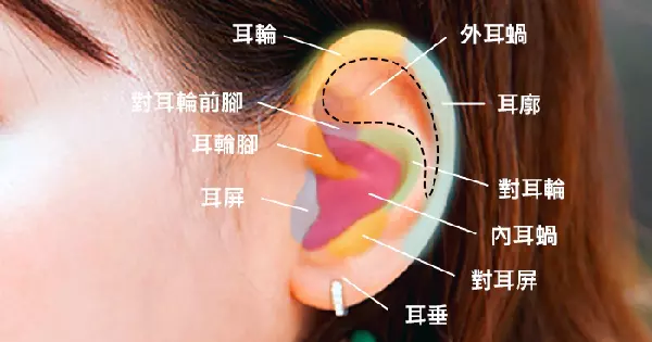 偏財旺不旺,只要看8個地方就知道!