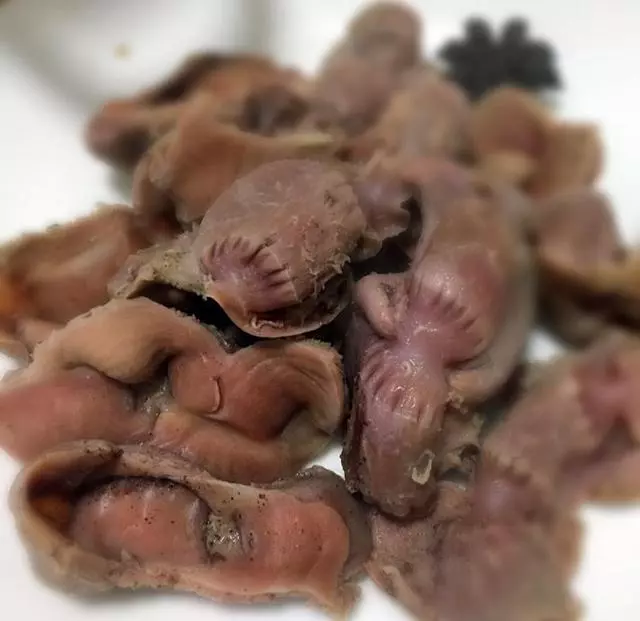 雞胗怎麼做好吃,圓子教你17道雞胗做法,每一道都讓人大開眼界