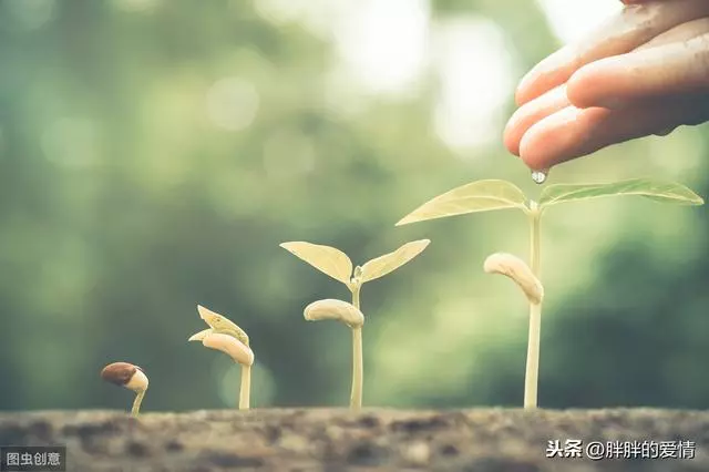 有緣不推,無緣不求;來的歡迎,去的目送;一切隨緣,順其自然
