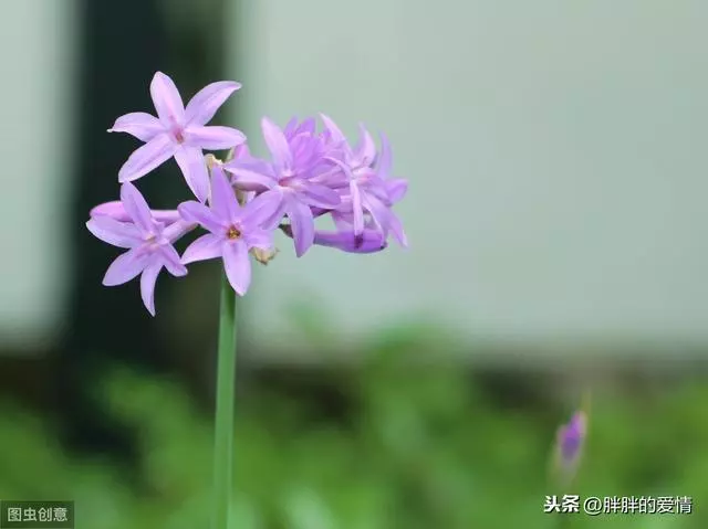 有緣不推,無緣不求;來的歡迎,去的目送;一切隨緣,順其自然