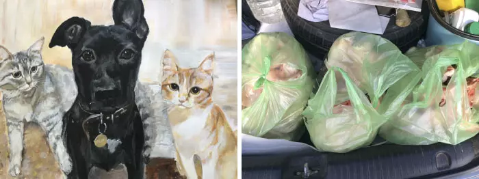 寵物肖像畫「只收罐罐跟用品」當謝禮 9歲童當「最小義工」養活收容所動物