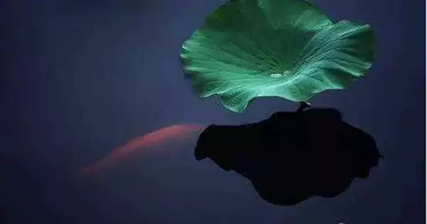 人可以不信佛,但不能不信因果!