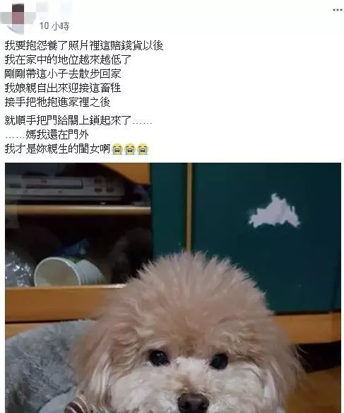 家裡種的植物被啃的稀巴爛,抓到兇手了!原來是有雙無辜大眼的「斜綠天蛾寶寶」!