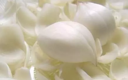 多吃百合九大好處 , 潤肺止咳寧心安神!