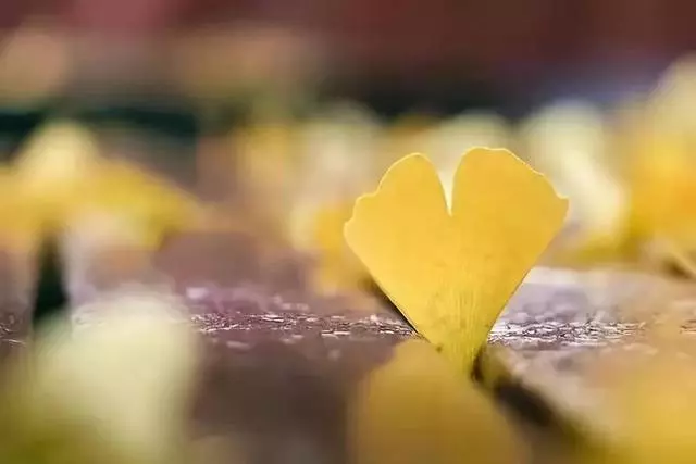 不管對人還是對事,都要用一顆真心!