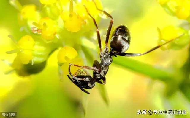 人生不順時,牢記這三句話,一切都會好起來