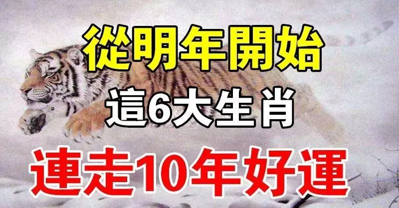 天生命運不凡!從明年開始,連走10年好運的6大生肖