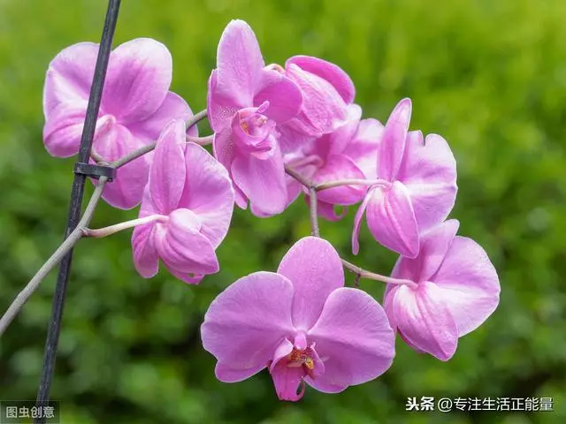 人生如戲,聚散不由人!(值得一讀)