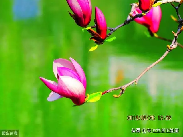 人生如戲,聚散不由人!(值得一讀)