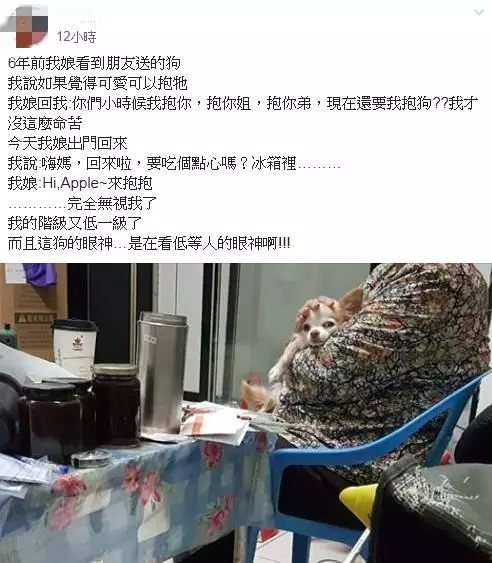 家裡種的植物被啃的稀巴爛,抓到兇手了!原來是有雙無辜大眼的「斜綠天蛾寶寶」!