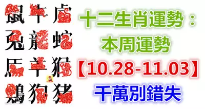 十二生肖運勢:本周運勢【10.28-11.03】千萬別錯失!