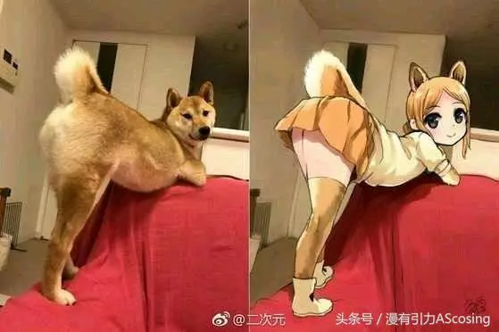 宅宅們眼中的世界,似乎和普通人不太一樣?
