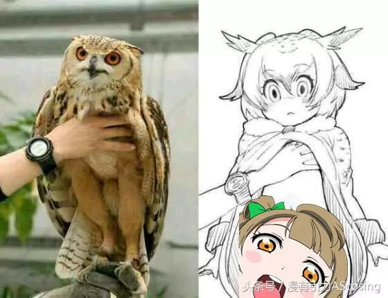 宅宅們眼中的世界,似乎和普通人不太一樣?