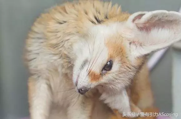 宅宅們眼中的世界,似乎和普通人不太一樣?