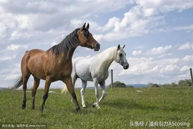 宅宅們眼中的世界,似乎和普通人不太一樣?