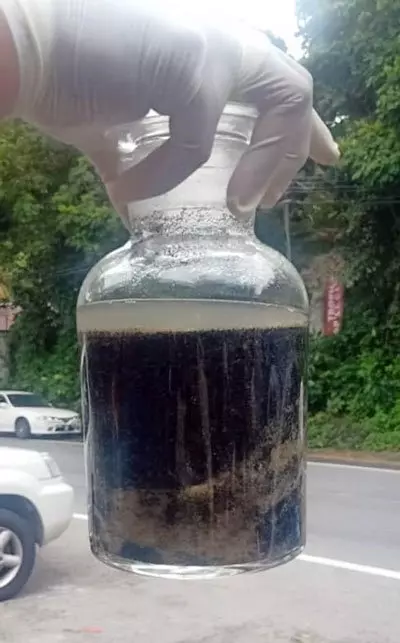 【震撼場面】普吉附近島嶼,發現大量漂浮魚!