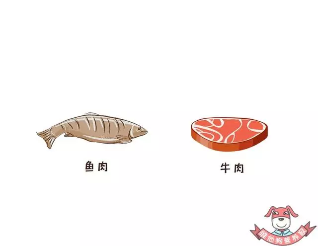 保質期≠最後可食用時間,食品過期到底能不能吃呢?