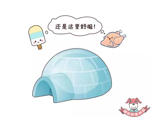 保質期≠最後可食用時間,食品過期到底能不能吃呢?