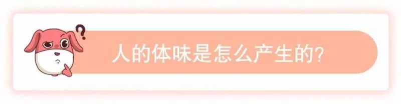 是體香還是汗臭?撩人體香吃出來?原來人的體味有這麼多名堂