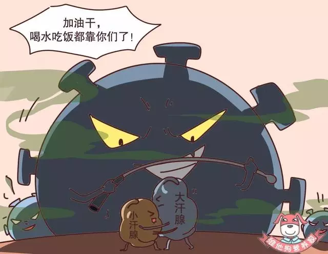 是體香還是汗臭?撩人體香吃出來?原來人的體味有這麼多名堂
