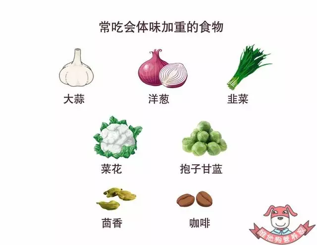 是體香還是汗臭?撩人體香吃出來?原來人的體味有這麼多名堂