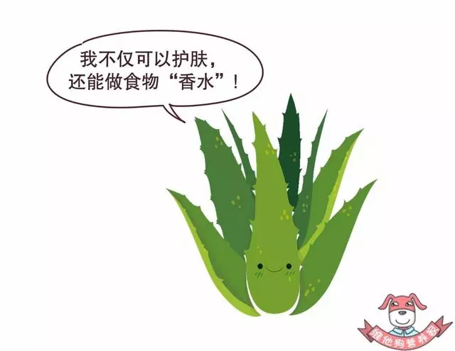 是體香還是汗臭?撩人體香吃出來?原來人的體味有這麼多名堂