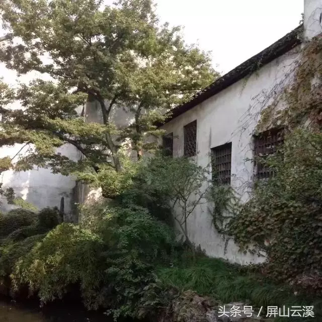 嫂子嫁到我家十多年我對她態度一直不好,在我出嫁時她卻讓我暖心感動