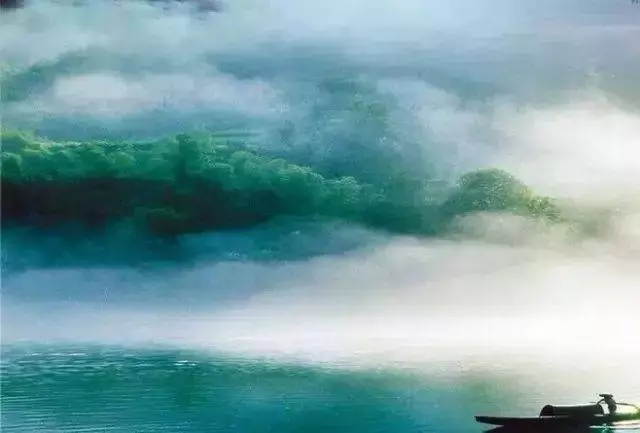低智商的善良,不如高智商的冷漠!(深度)