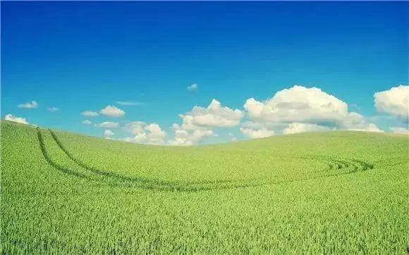 低智商的善良,不如高智商的冷漠!(深度)
