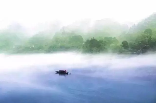 低智商的善良,不如高智商的冷漠!(深度)