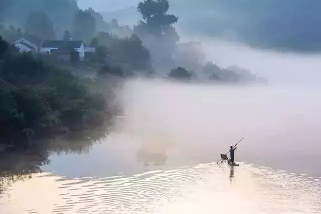 低智商的善良,不如高智商的冷漠!(深度)