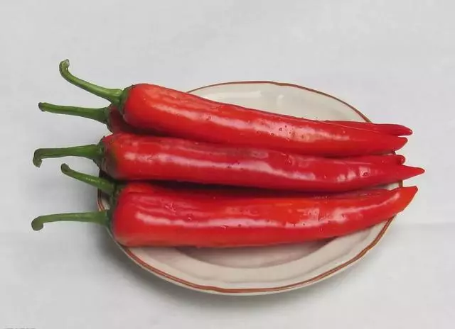 什麼蔬菜最減脂吸油?讓你遠離贅肉
