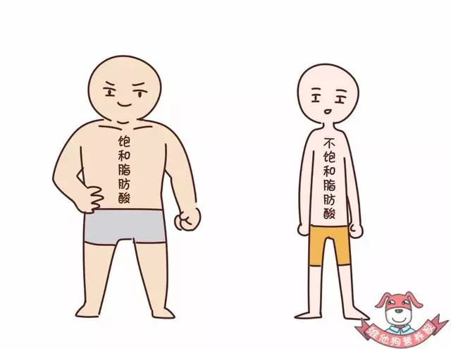 藏在蛋糕、麵包...中的「定時炸彈」,反式脂肪酸真的這麼可怕?