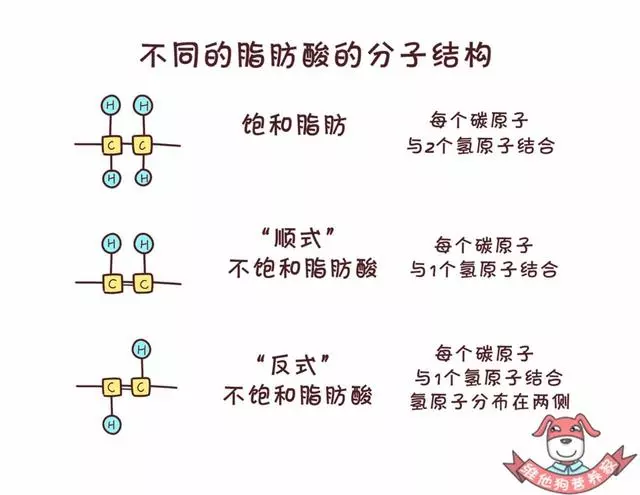 藏在蛋糕、麵包...中的「定時炸彈」,反式脂肪酸真的這麼可怕?