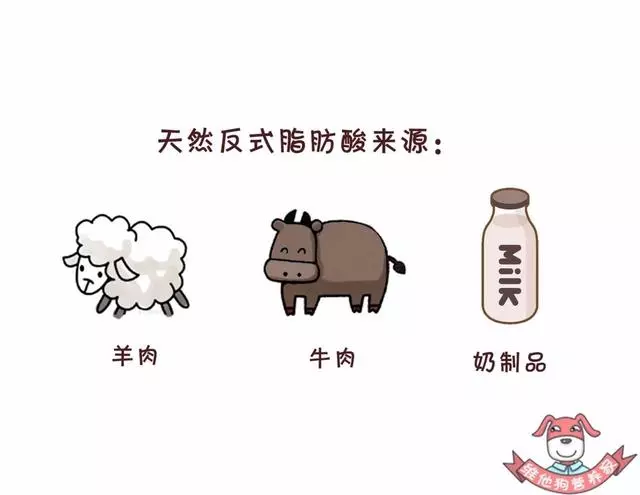 藏在蛋糕、麵包...中的「定時炸彈」,反式脂肪酸真的這麼可怕?