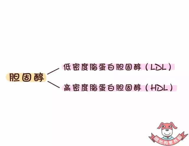 藏在蛋糕、麵包...中的「定時炸彈」,反式脂肪酸真的這麼可怕?