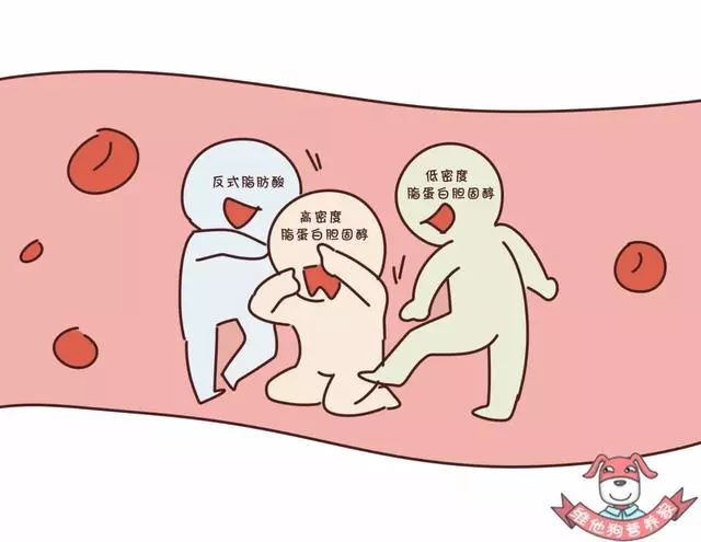 藏在蛋糕、麵包...中的「定時炸彈」,反式脂肪酸真的這麼可怕?