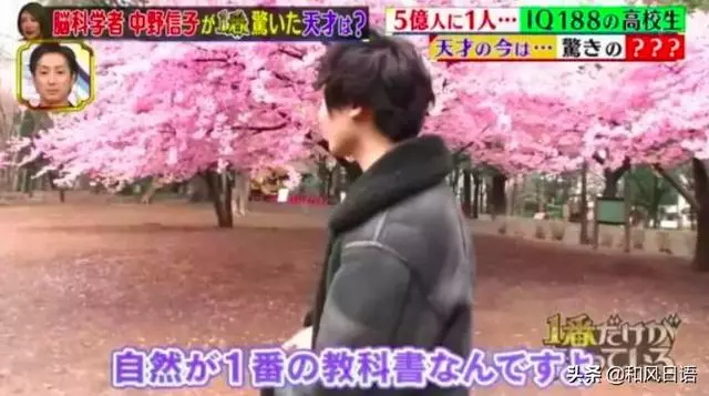 日本天才少年的悲劇!沒有學歷的他處處碰壁,一度淪為無業遊民…