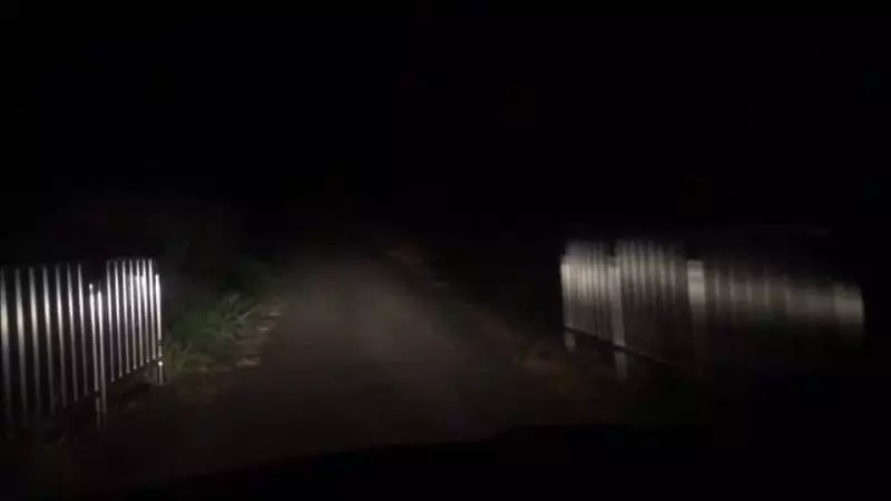 高冷美女坐車目的地超偏僻連民房都沒有,計程車司機手抖接車費:明天會不會變紙