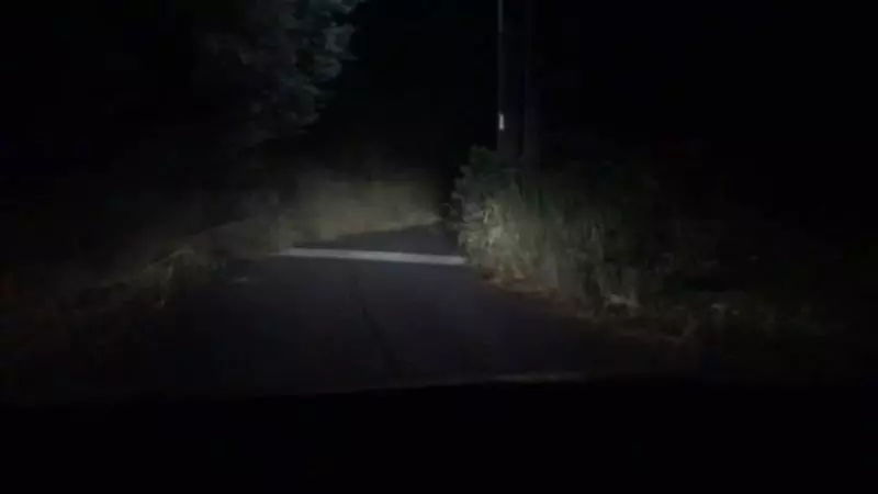 高冷美女坐車目的地超偏僻連民房都沒有,計程車司機手抖接車費:明天會不會變紙