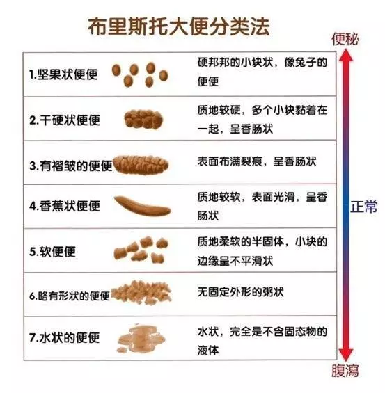 便秘好幾天沒有大便,糞便都去哪裡了?醫生告訴你治療方案