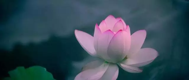討厭一個人,用不著翻臉(看醒了很多人)