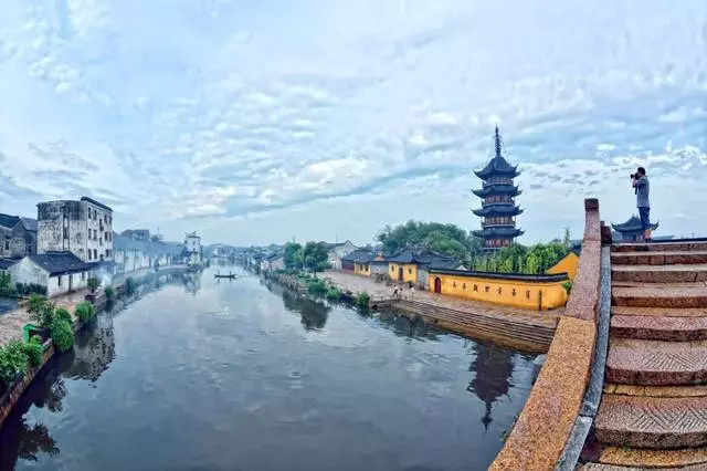 花蔸兒:心善,心寬,心正,心安!